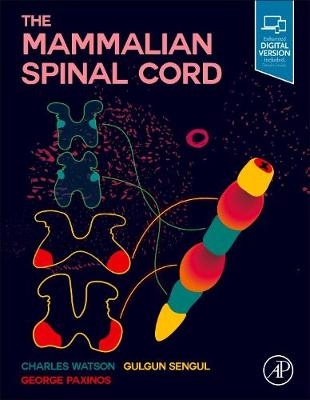 The Mammalian Spinal Cord - Charles Watson, Gulgun Sengul, George Paxinos