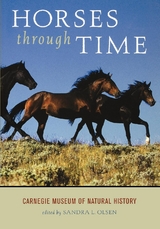 Horses through Time - 
