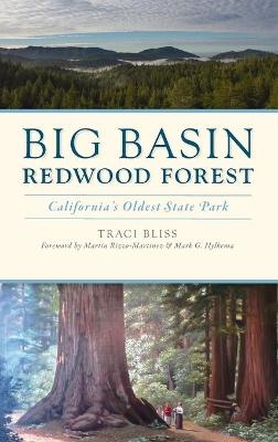 Big Basin Redwood Forest - Traci Bliss