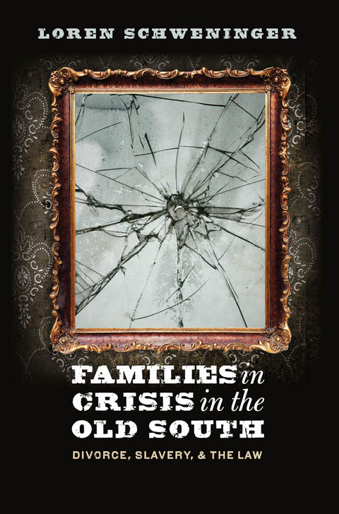 Families in Crisis in the Old South -  Loren Schweninger
