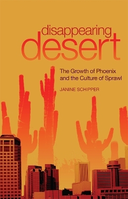 Disappearing Desert - Janine Schipper