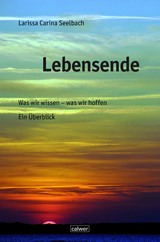 Lebensende - Larissa C. Seelbach