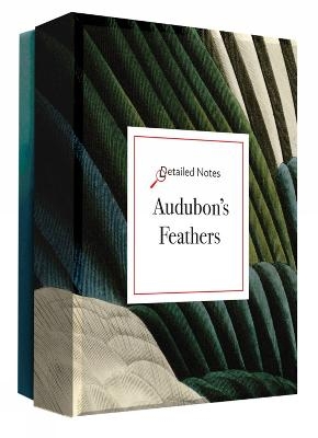 Audubon's Feathers Detailed Notecard Set - Daniel Bergez