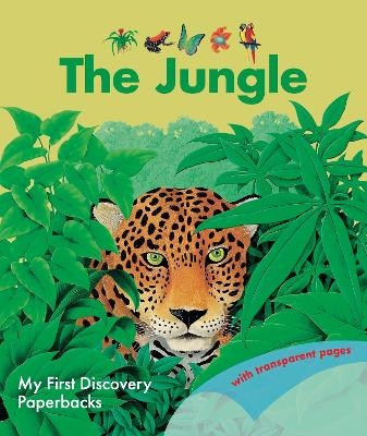 The Jungle - René Mettler