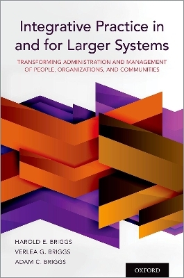 Integrative Practice in and for Larger Systems - Harold E. Briggs, Verlea G. Briggs, Adam C. Briggs