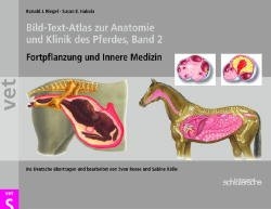 Bild-Text-Atlas zur Anatomie und Klinik des Pferdes, Band 2 - Ronald Riegel, Susan Hakola