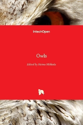 Owls - 