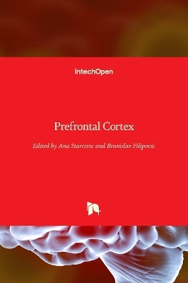 Prefrontal Cortex - 