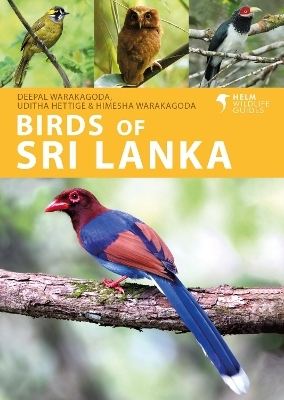 Birds of Sri Lanka - Deepal Warakagoda, Uditha Hettige, Himesha Warakagoda