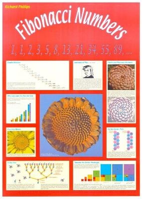 Fibonacci Numbers Poster - Geral Jenkins