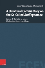 A Structural Commentary on the So-Called Antilegomena - Kalina Wojciechowska, Mariusz Rosik