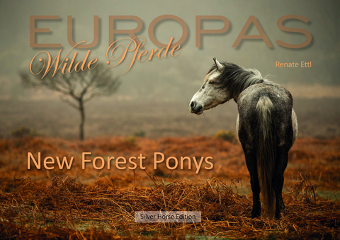 New Forest Ponys - Renate Ettl