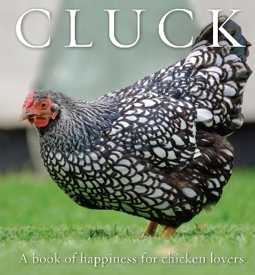 Cluck - 