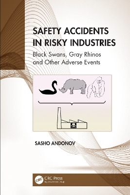 Safety Accidents in Risky Industries - Sasho Andonov