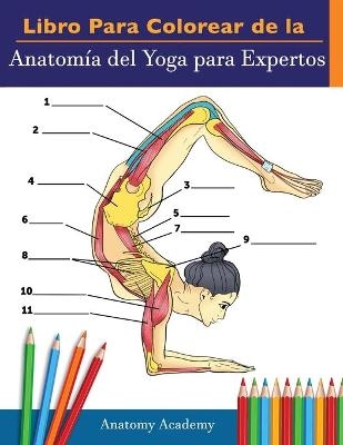 Libro Para Colorear de la Anatomía del Yoga para Expertos - Anatomy Academy