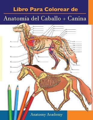 Libro para colorear de Anatomía del Caballo + Canina - Anatomy Academy
