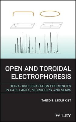 Open and Toroidal Electrophoresis - Tarso B. Ledur Kist