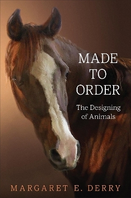 Made to Order - Margaret E. Derry