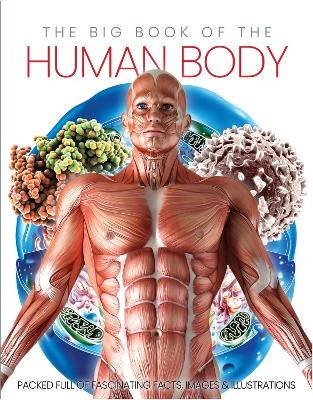 The Big Book of the Human body - Katherine Marsh