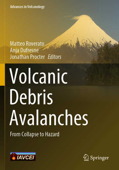 Volcanic Debris Avalanches - 