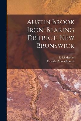 Austin Brook Iron-bearing District, New Brunswick [microform] - 