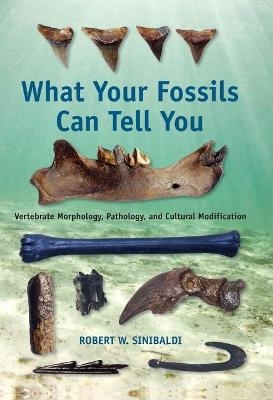 What Your Fossils Can Tell You - Robert W. Sinibaldi