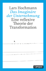 Das Imaginäre der Unternehmung - Lars Hochmann