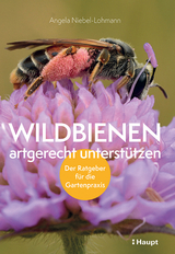 Wildbienen artgerecht unterstützen - Angela K. Niebel-Lohmann