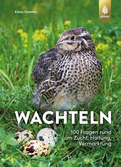 Wachteln - 100 Fragen rund um Zucht, Haltung, Vermarktung - Klaus Damme