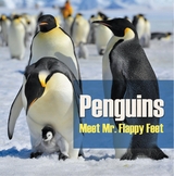 Penguins - Meet Mr. Flappy Feet -  Baby Professor