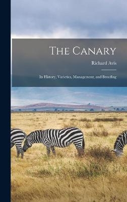 The Canary - Richard Avis