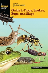 Basic Illustrated Guide to Frogs, Snakes, Bugs, and Slugs -  John Himmelman