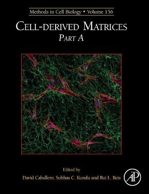 Cell-derived Matrices Part A - 