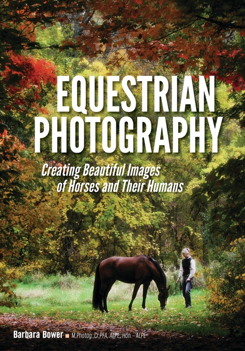 Equestrian Photography - 