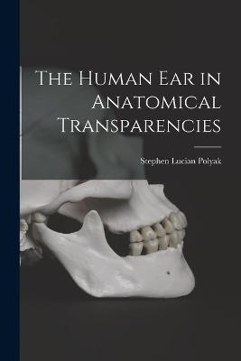 The Human Ear in Anatomical Transparencies - Stephen Lucian 1889-1955 Polyak