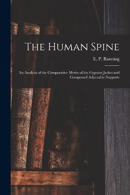 The Human Spine - 