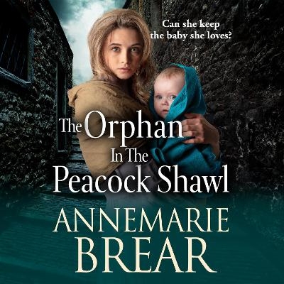 The Orphan in the Peacock Shawl -  AnneMarie Brear