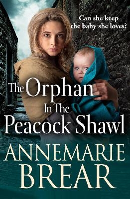 The Orphan in the Peacock Shawl -  AnneMarie Brear