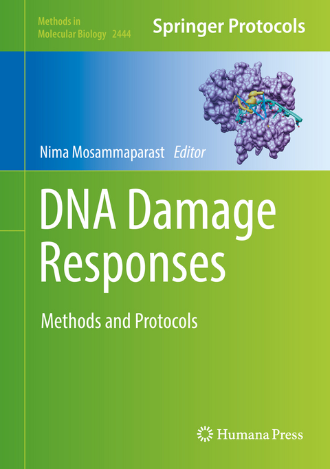 DNA Damage Responses - 