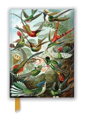 Ernst Haeckel: Hummingbirds (Foiled Journal) - 