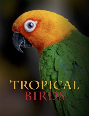 Tropical Birds - Tom Jackson