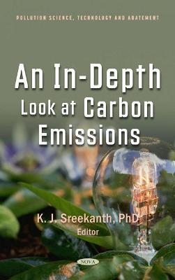 An In-Depth Look at Carbon Emissions - 