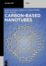 Carbon-Based Nanotubes - Raúl Hernández Sánchez, Saber Mirzaei, Edison Arley Castro Portillo