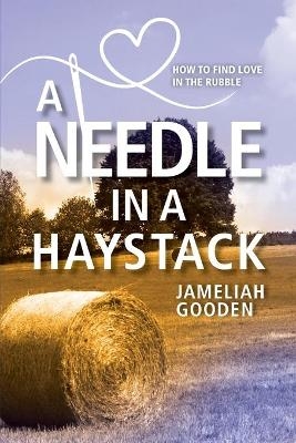 A Needle in a Haystack - Jameliah Gooden