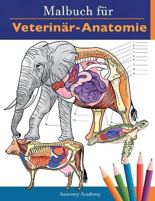 Malbuch für Veterinär-Anatomie - Anatomy Academy