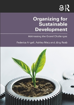 Organizing for Sustainable Development - Federica Angeli, Ashley Metz, Jörg Raab