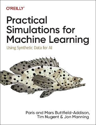 Practical Simulations for Machine Learning - Paris Buttfield-Addison, Mars Buttfield-Addison, Tim Nugent, Jon Manning
