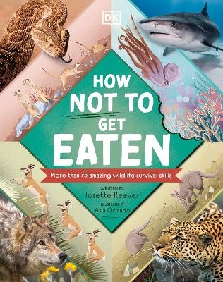 How Not to Get Eaten - Josette Reeves