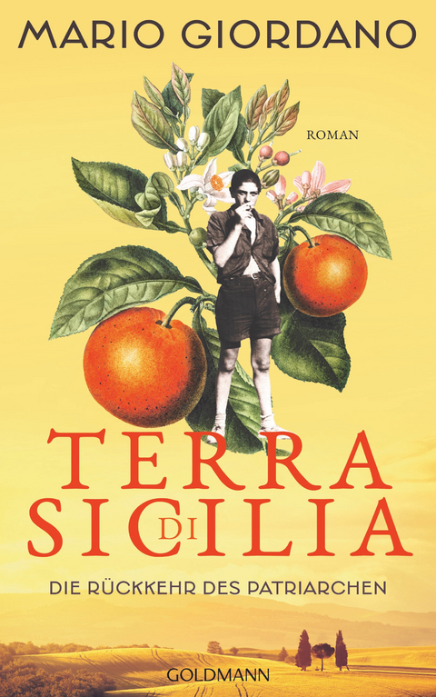 Terra di Sicilia - die Rückkehr des Patriarchen - Mario Giordano