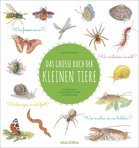 Das große Buch der kleinen Tiere - Nathalie Tordjman